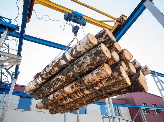 Forestry & Logging Winch