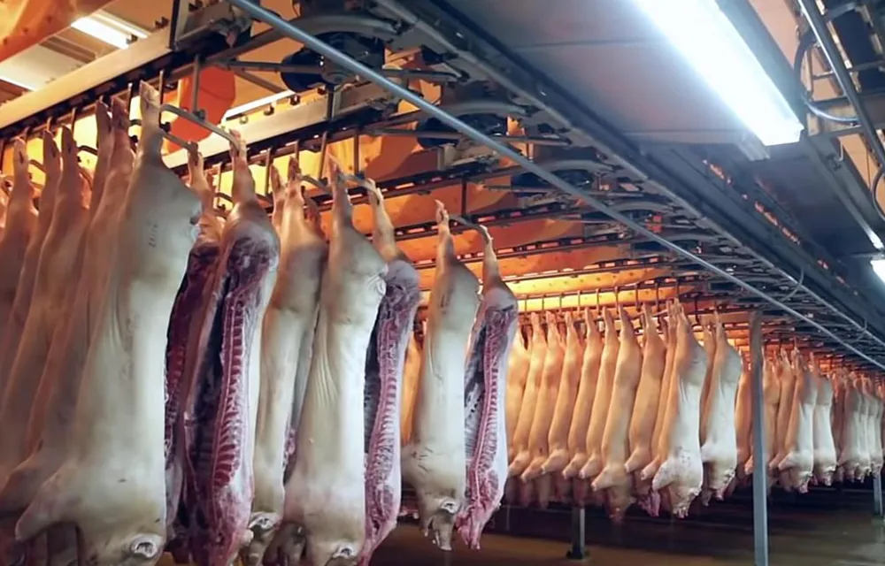 food-industry-chain-6 food-industry-chain